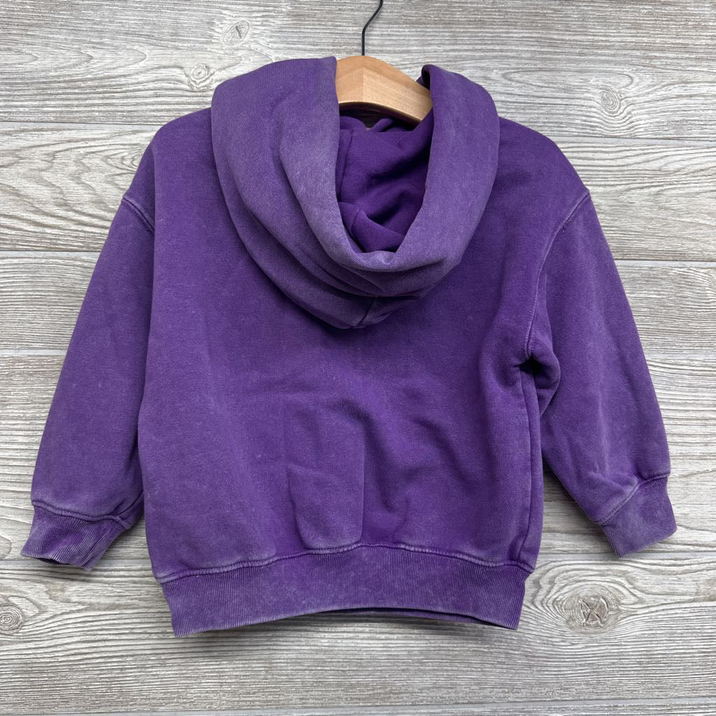 Weathered Hooded Sweatshirt 2t