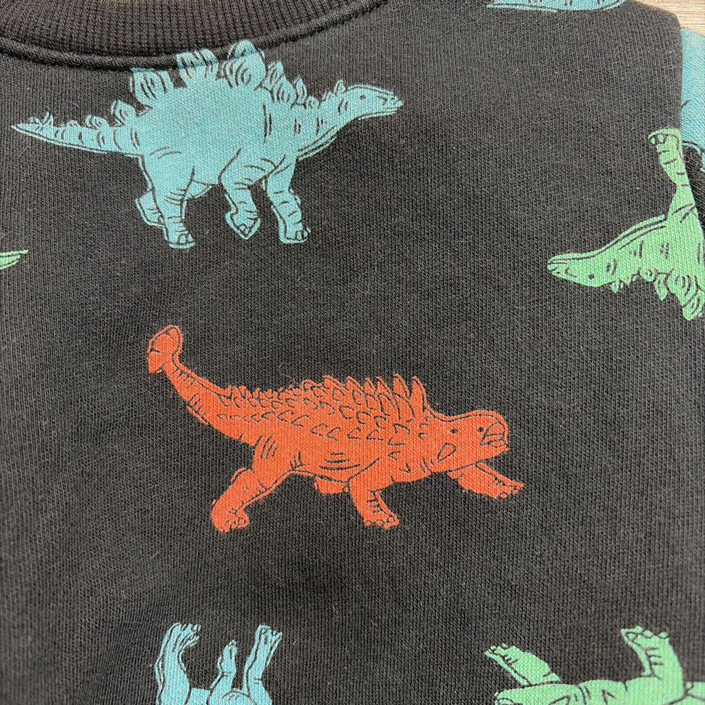Crewneck Dinosaurs 18M