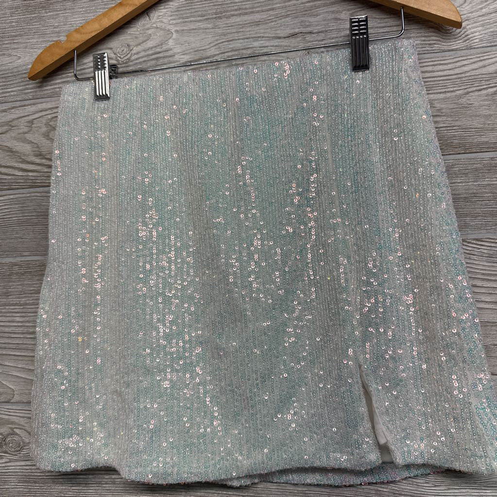 Sequins Skirt 18