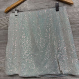 Sequins Skirt 18