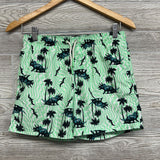 Swim Trunks Dinosaurs 14