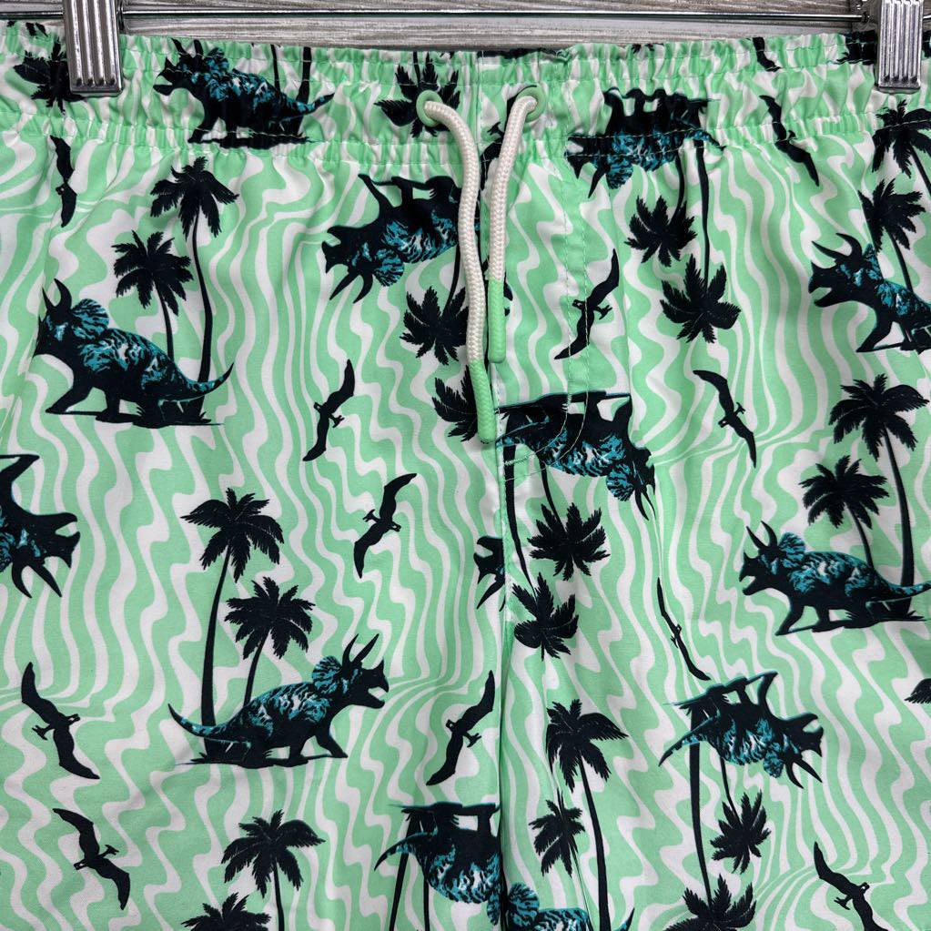 Swim Trunks Dinosaurs 14