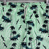 Swim Trunks Dinosaurs 14