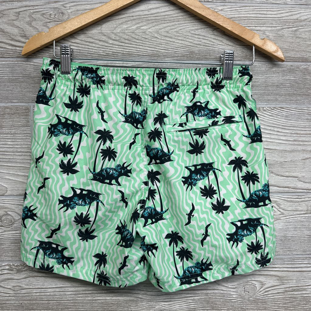 Swim Trunks Dinosaurs 14