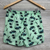 Swim Trunks Dinosaurs 14