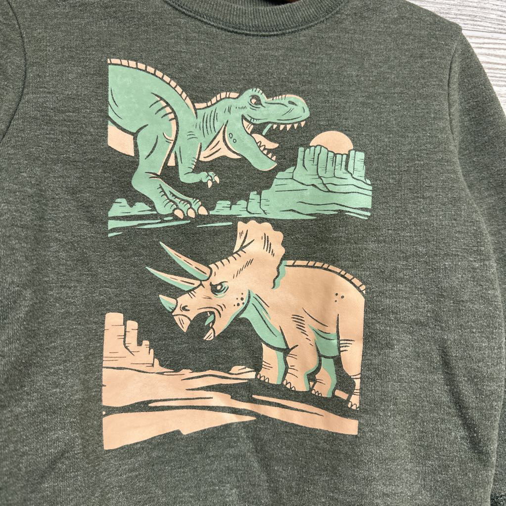 Crewneck Dinosaurs 3t