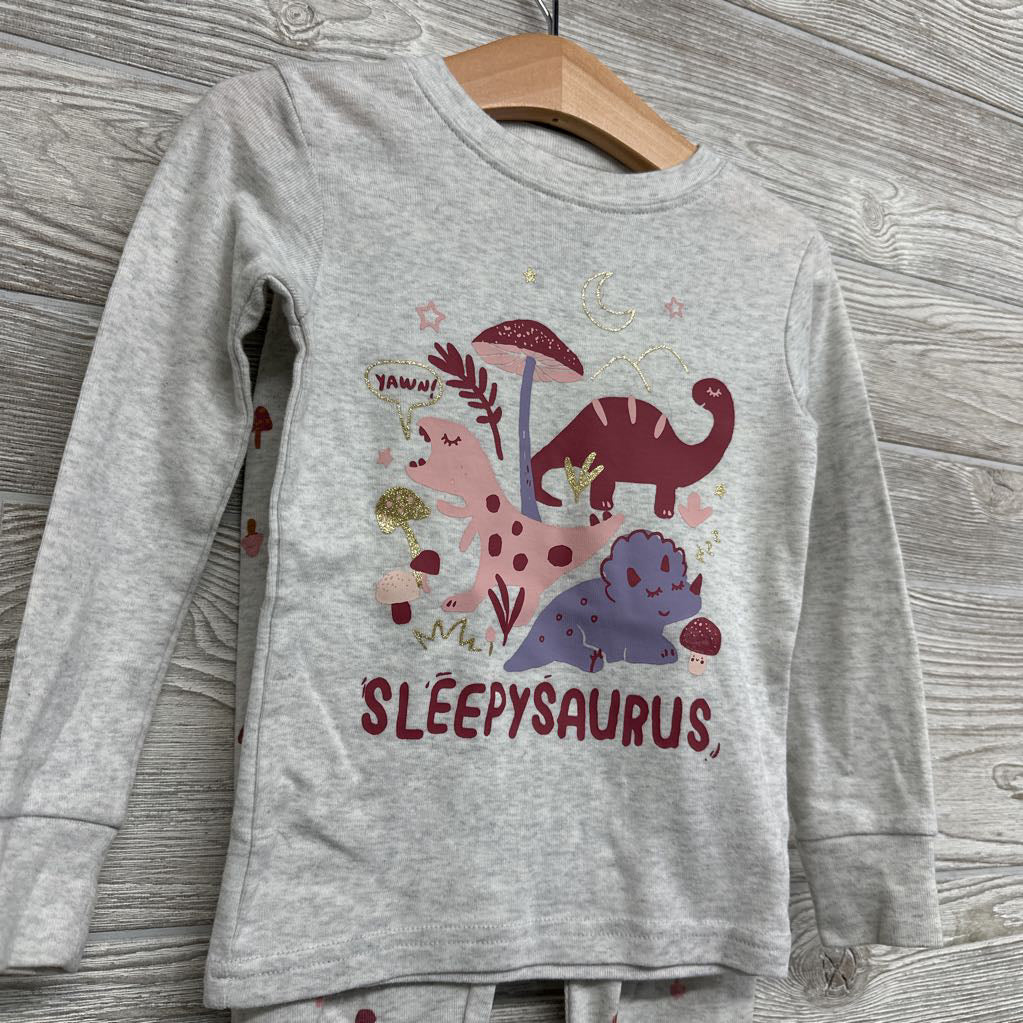 2 Pc Pj Dinosaurs 3t