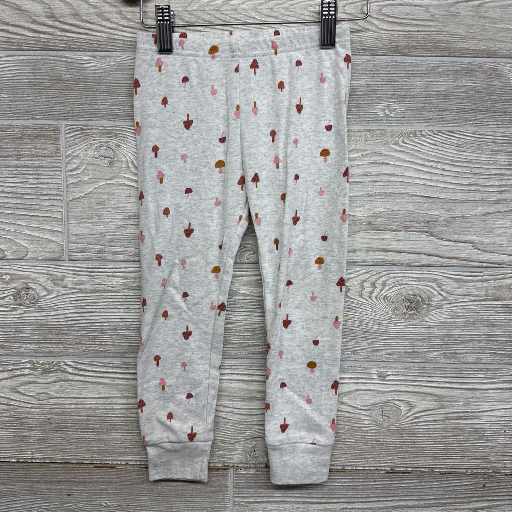2 Pc Pj Dinosaurs 3t