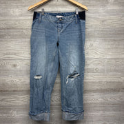 Cropped Vintage Straight Side Panel Jeans 2/XS