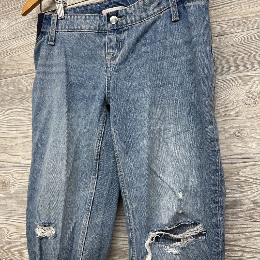 Cropped Vintage Straight Side Panel Jeans 2/XS