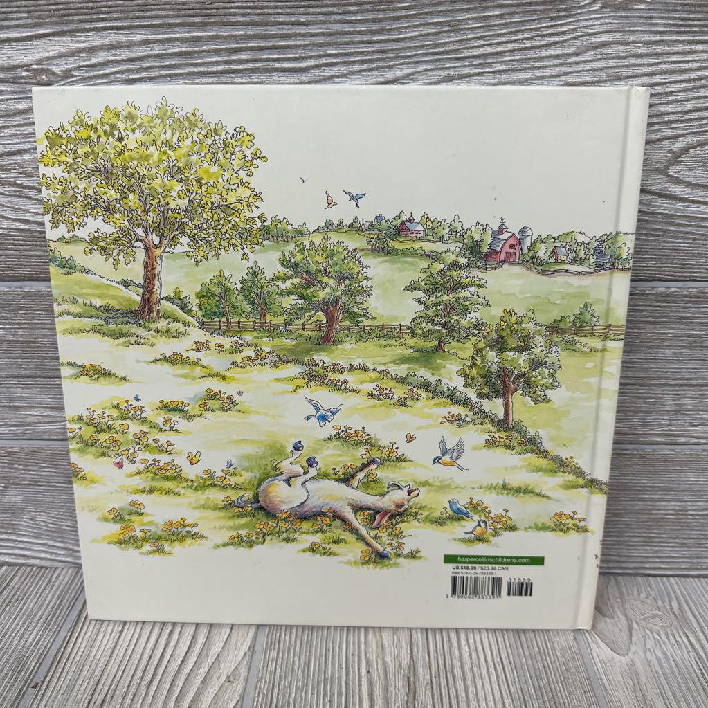 Escape Goat Hardcover Book
