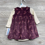 NEW Plush Jumper & LS Shirt Flowers 6M