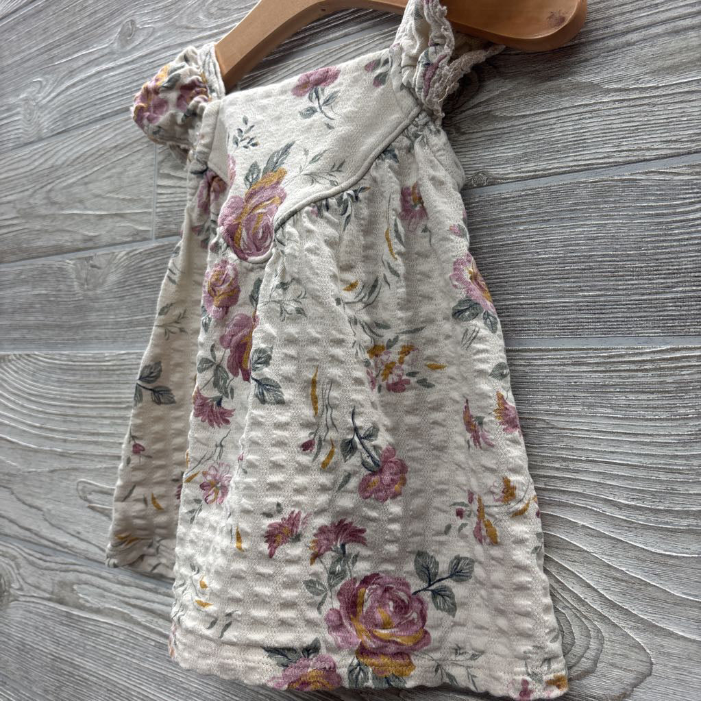 Flutter Sleeve 2 Pc Dress Flowers 6-9M