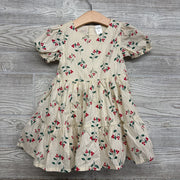 Dress & Bloomers Glitter Stripes Flowers 24M
