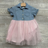 Chambray Button Up & Tulle Skirt Dress 12M