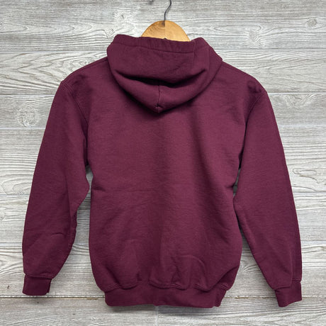 Hooded Sweatshirt Ankeny Hawks 10-12