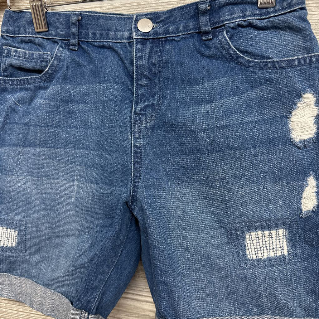 Denim Shorts Ripped 14