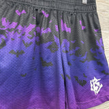 Gradient Bat Mesh Shorts 10